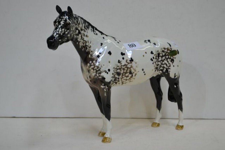 The Appaloosa horse - Royal Horse