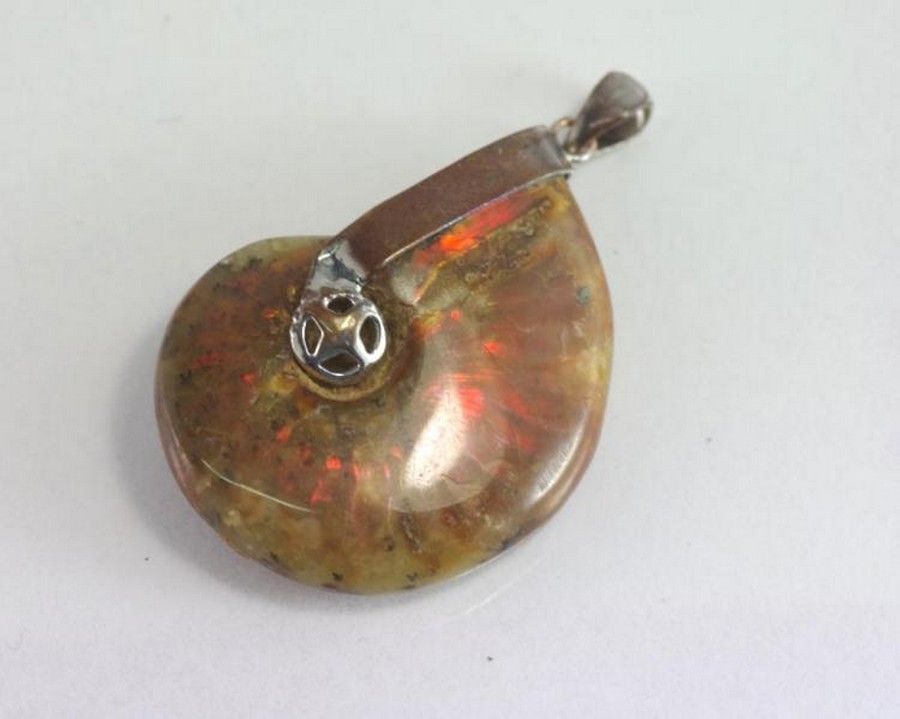 Canadian Ammolite Pendant: A Unique Gemstone Treasure - Pendants ...