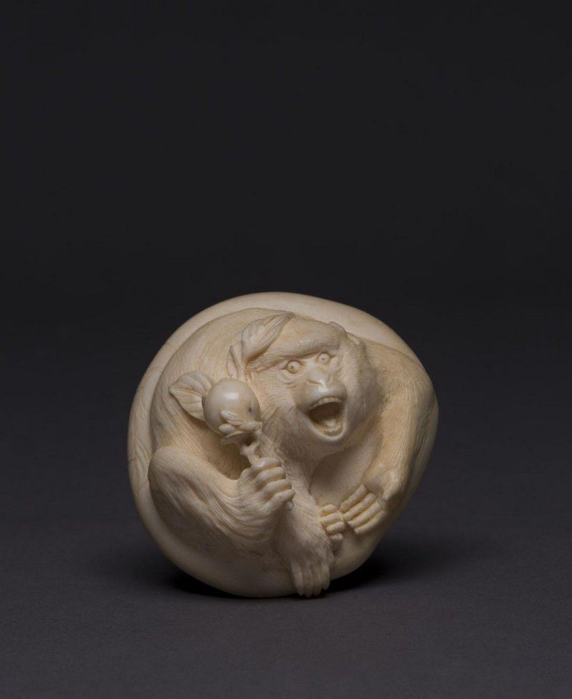 A Japanese netsuke carved ivory in the form of a monkey, signed ...