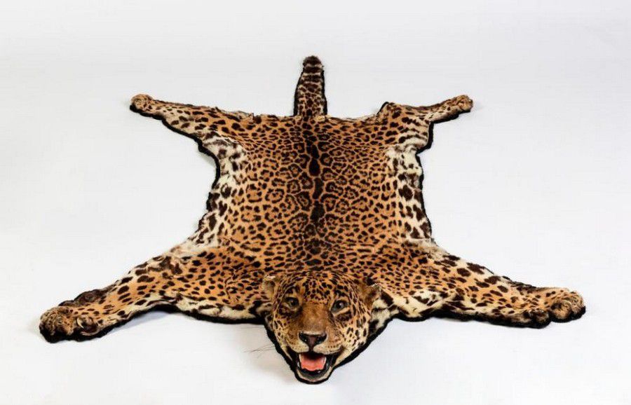A Spotted Leopard Skin Rug With Full, Leopard Skin Rug