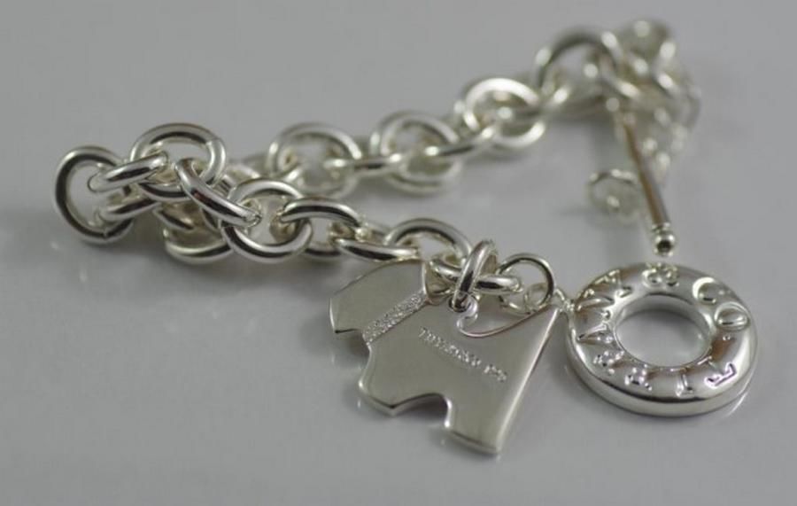 Tiffany  Co Dog Tag Charm Bracelet Silvery Silver Metal ref802831  Joli  Closet