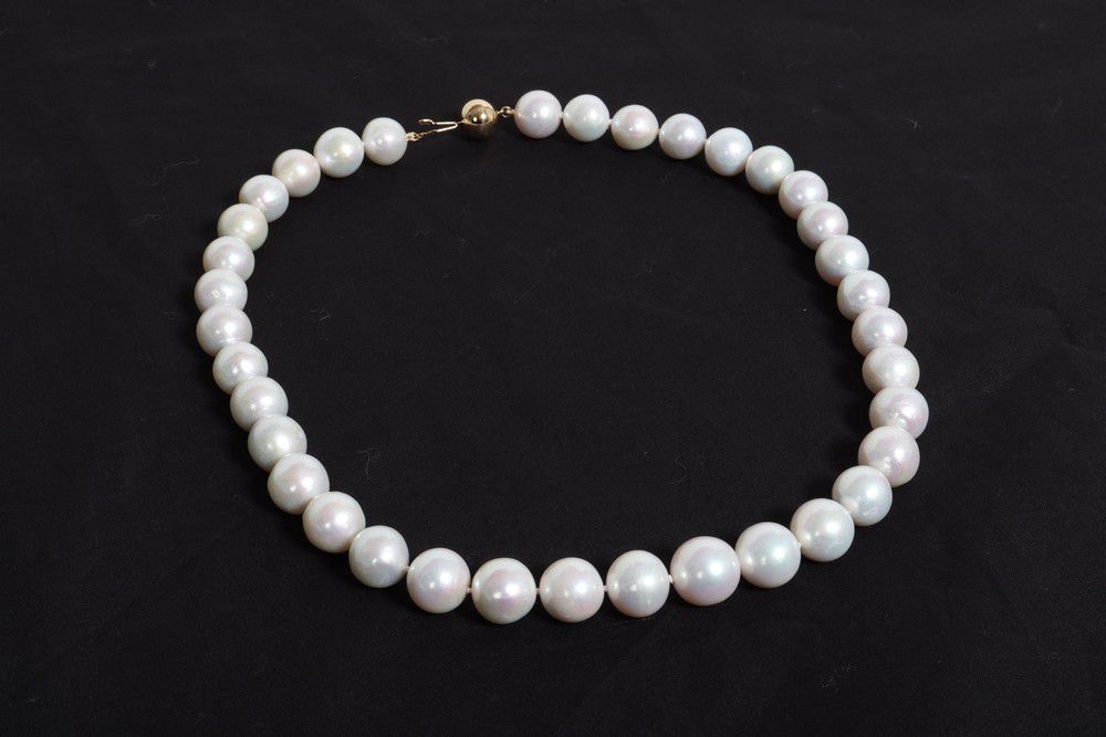 White South Sea Pearl Necklace with Gold Clasp - Necklace/Chain - Jewellery